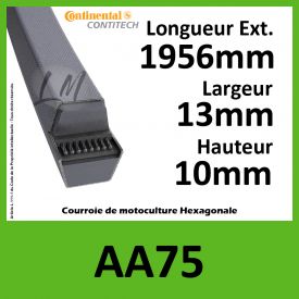 Courroie Hexagonale AA75 - Continental