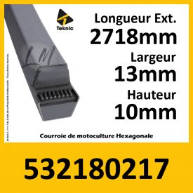 Courroie Hexagonale 532180217