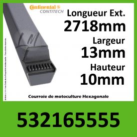 Courroie Hexagonale 532165555