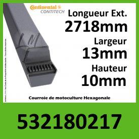 Courroie Hexagonale 532180217