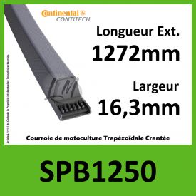 Courroie SPB1250 - Continental