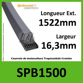 Courroie SPB1500 - Continental