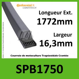 Courroie SPB1750 - Continental