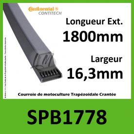 Courroie SPB1778 - Continental