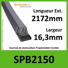 Courroie SPB2150 - Continental