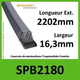 Courroie SPB2180 - Continental