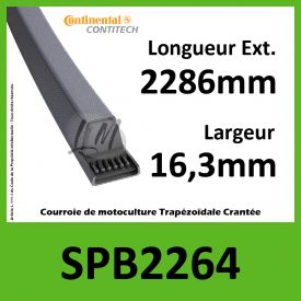 Courroie SPB2264 - Continental