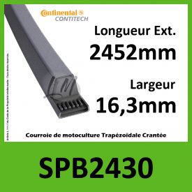 Courroie SPB2430 - Continental
