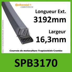 Courroie SPB3170 - Continental