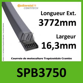 Courroie SPB3750 - Continental