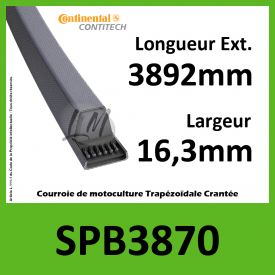 Courroie SPB3870 - Continental