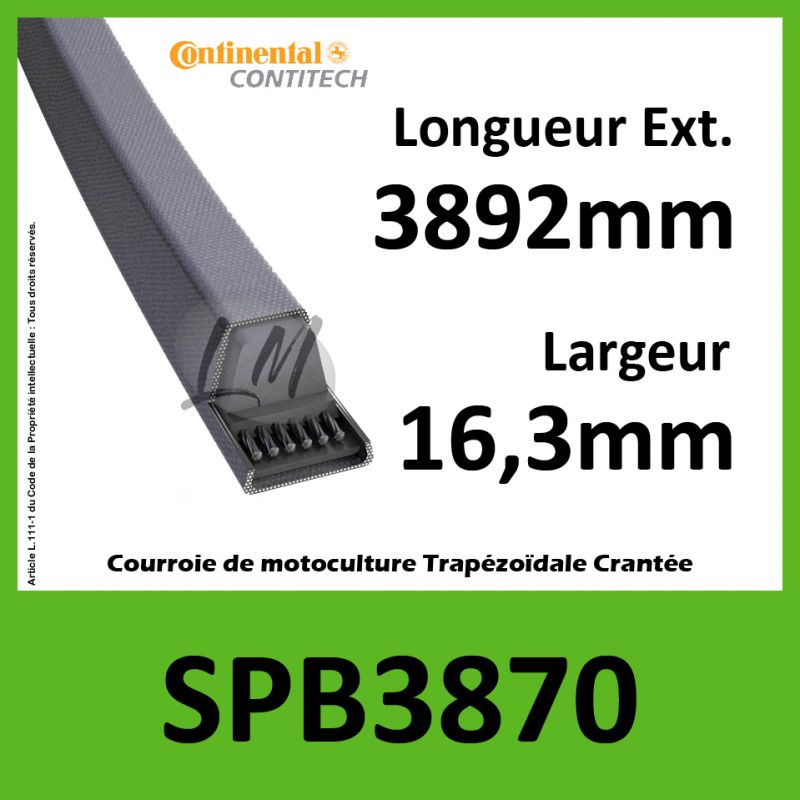 Courroie SPB3870 - Continental