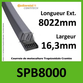 Courroie SPB8000 - Continental