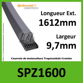 Courroie SPZ1600 - Continental