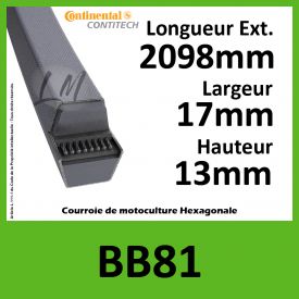 Courroie Hexagonale BB81 - Continental
