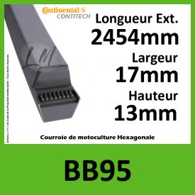 Courroie Hexagonale BB95 - Continental