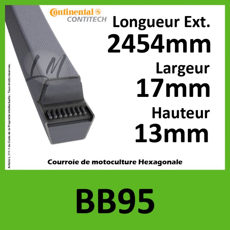 Courroie Hexagonale BB95 - Continental