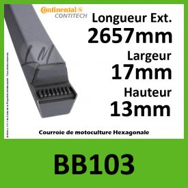 Courroie Hexagonale BB103 - Continental