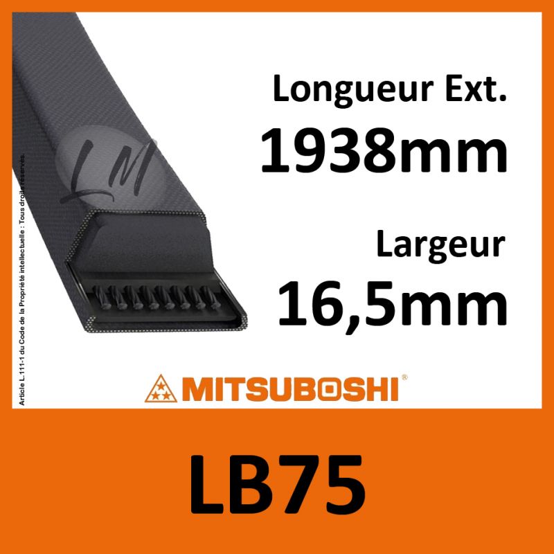 Courroie Mitsuboshi LB75