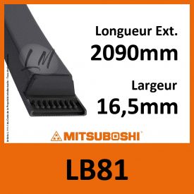 Courroie Mitsuboshi LB81