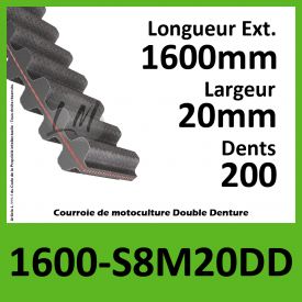 Courroie 1600-S8M20 Double denture