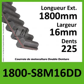 Courroie 1800-S8M16 Double denture