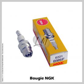 Bougie NGK BM6F