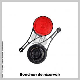 Bouchon remplace 799585 et 799684 BG