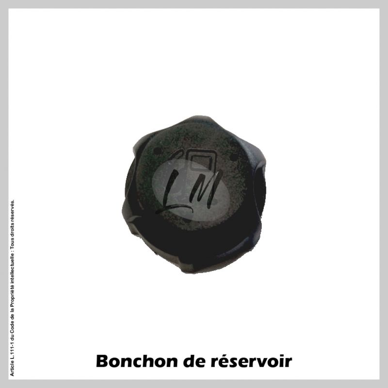 Bouchon réservoir pour Briggs & Stratton 497929