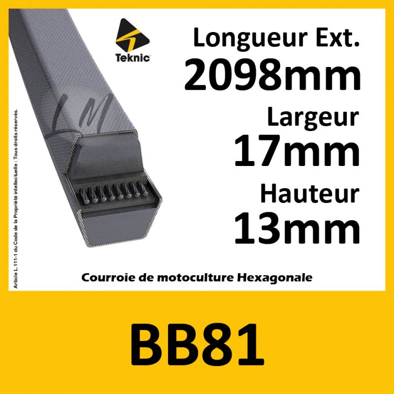 Courroie Hexagonale BB081 - Teknic