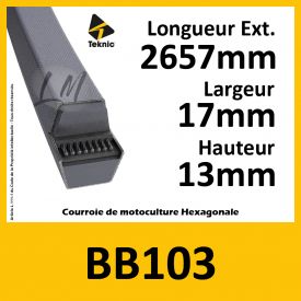 Courroie Hexagonale BB103 - Teknic