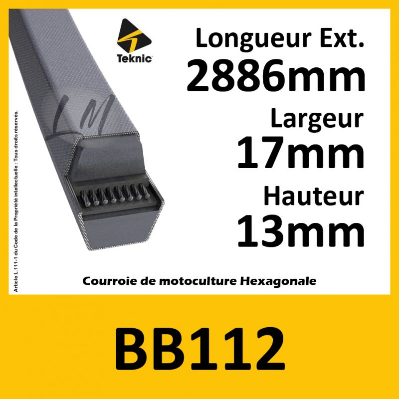 Courroie Hexagonale BB112 - Teknic