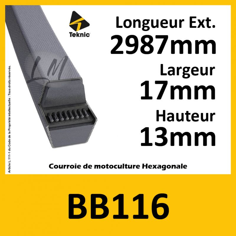 Courroie Hexagonale BB116 - Teknic