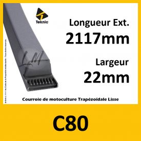 Courroie C80 - Teknic