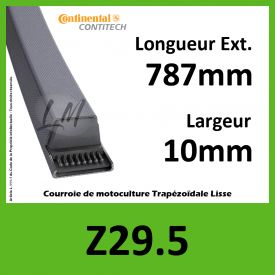 Courroie Z29.5 Continental