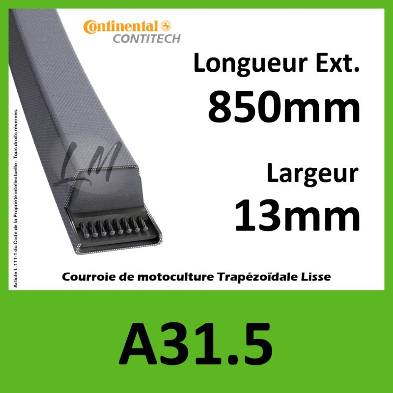 Courroie A31.5 Continental
