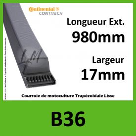 Courroie B36 Continental