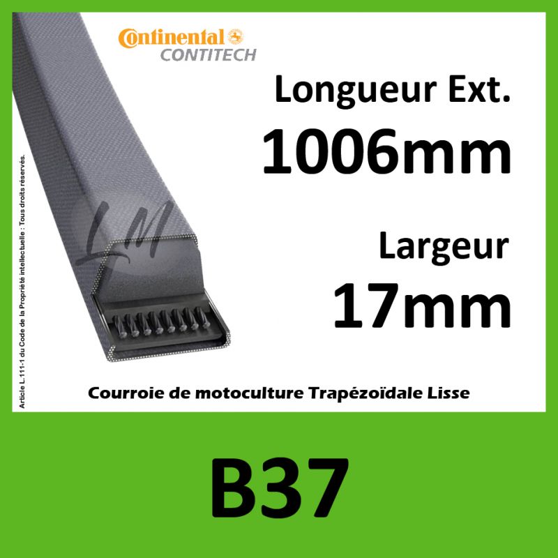 Courroie B37 Continental