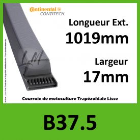 Courroie B37.5 Continental