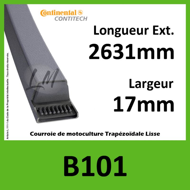 Courroie B101 Continental