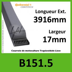 Courroie B151.5 Continental