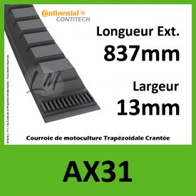 Courroie AX31 - Continental