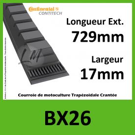 Courroie BX26 - Continental