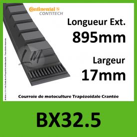 Courroie BX32.5 - Continental