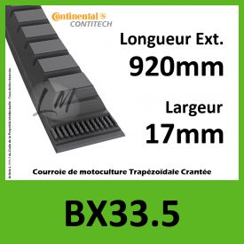 Courroie BX33.5 - Continental