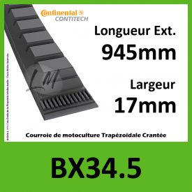 Courroie BX34.5 - Continental