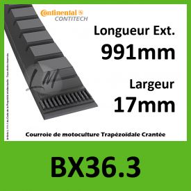 Courroie BX36.3 - Continental