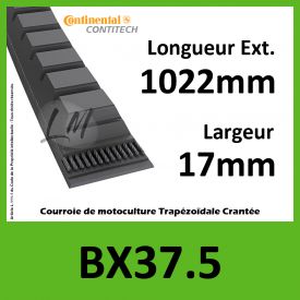 Courroie BX37.5 - Continental