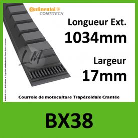 Courroie BX38 - Continental