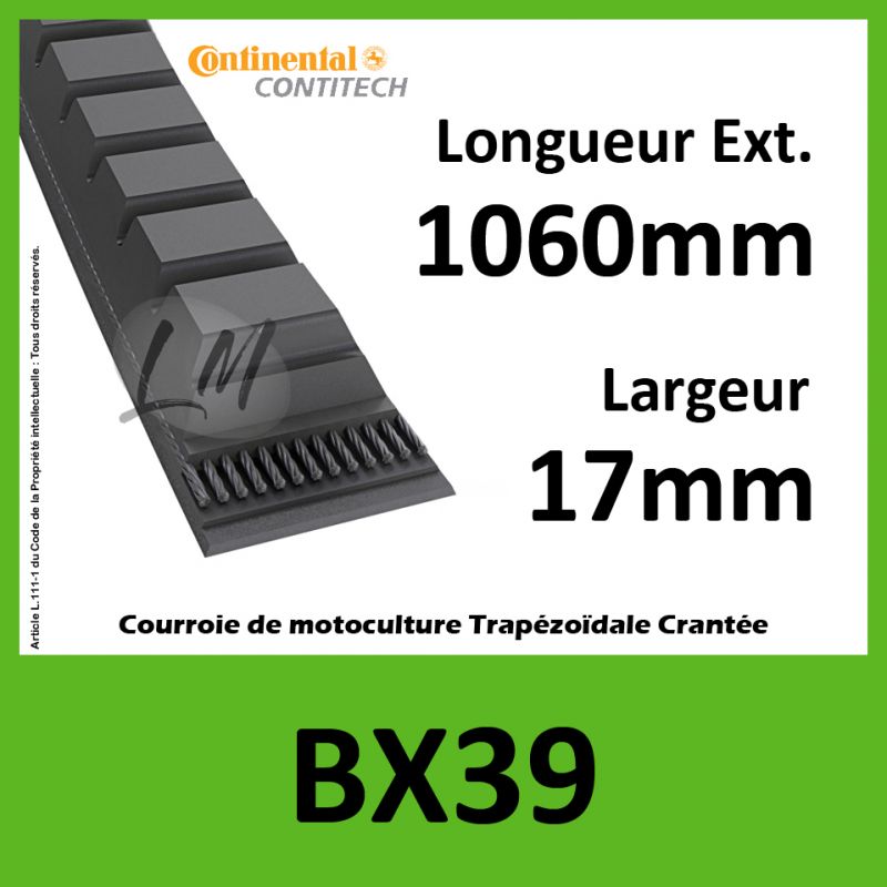 Courroie BX39 - Continental